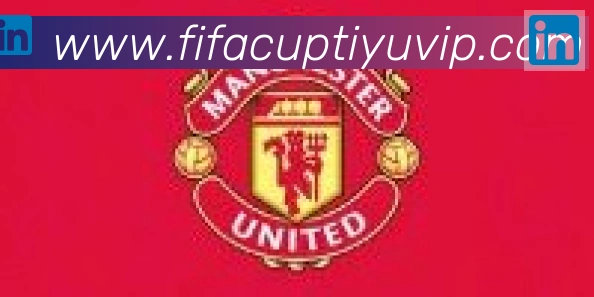 FIFA世界杯体育官方网站合作伙伴